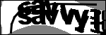 متن برای شناسایی