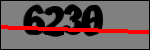 متن برای شناسایی