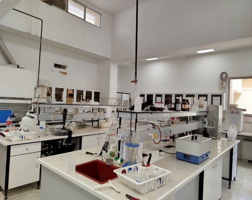 Second Responsive Image