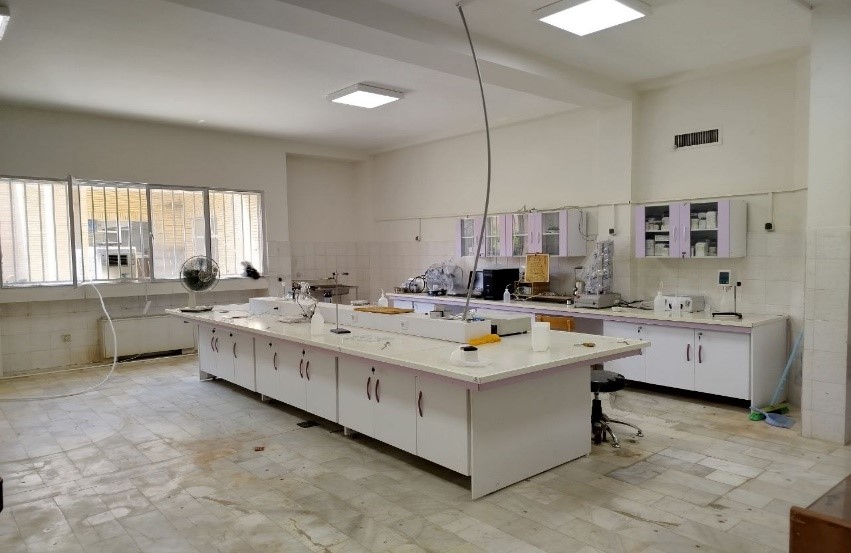 Third Responsive Image