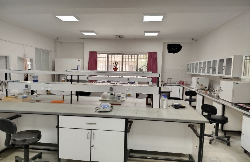 First Responsive Image