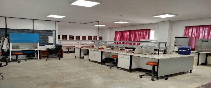 First Responsive Image