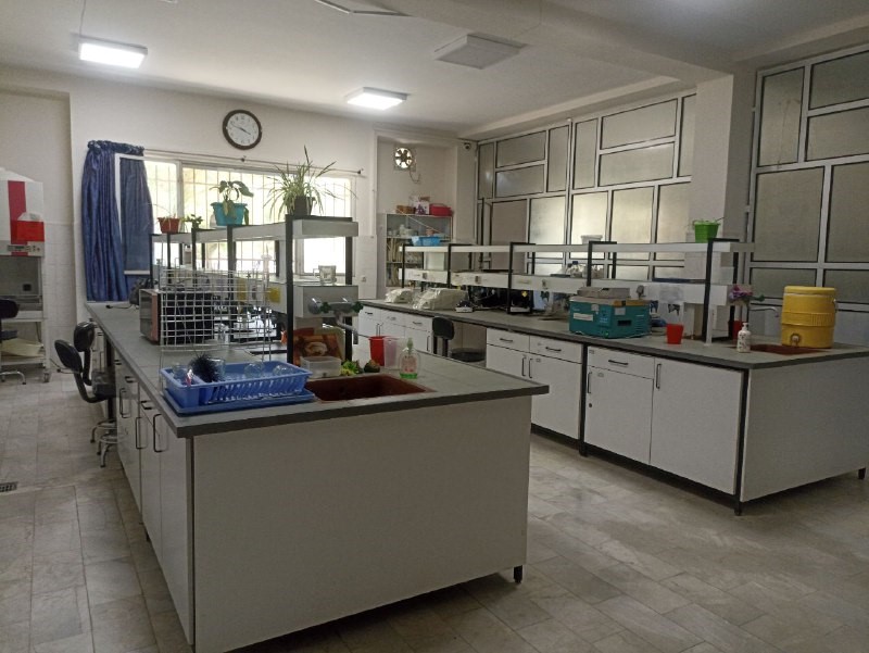 First Responsive Image