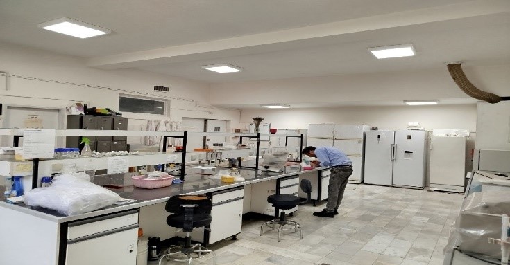 First Responsive Image