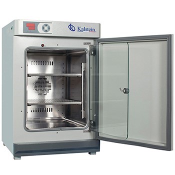 Third Responsive Image