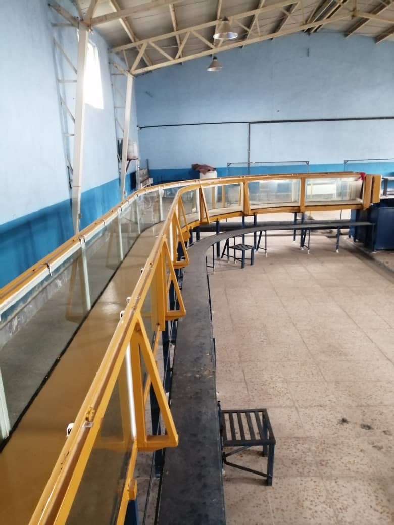 Third Responsive Image