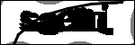 متن برای شناسایی