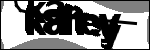 متن برای شناسایی
