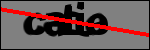 متن برای شناسایی