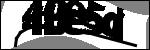متن برای شناسایی